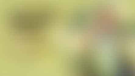 Filipina Tiana and Friends: What If Disney Princesses Were Filipina?