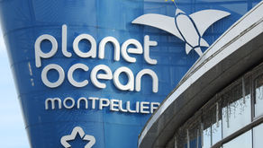 Samedi 9 février 2019 : Sortie au Planet Océan