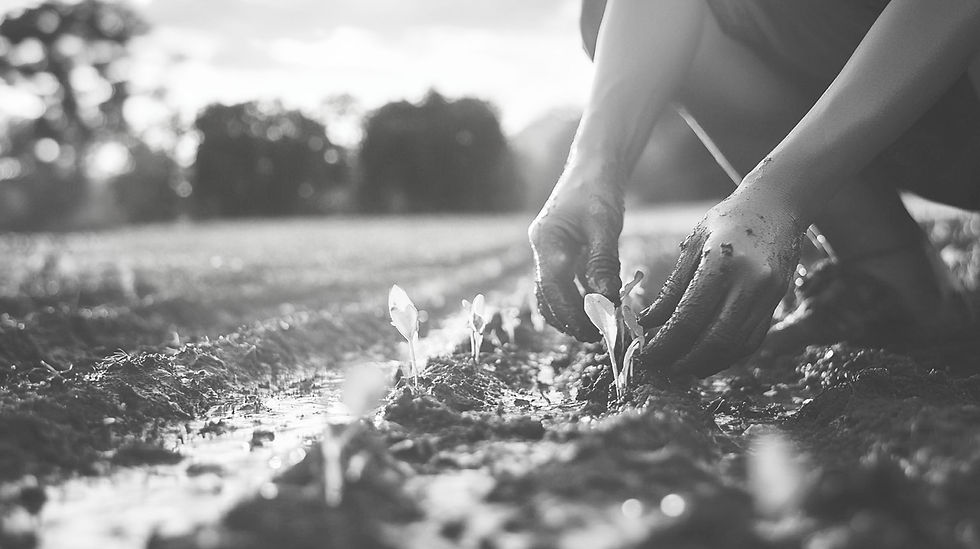 art direction for non profit branding