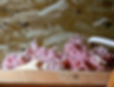 Home_Cooling_2025-41 Large_edited.jpg