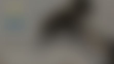 A hammer laying on blueprints with recession proof ideas for colorado home owners