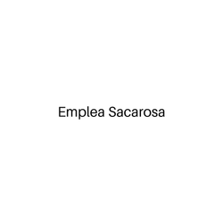 AZÚCAR