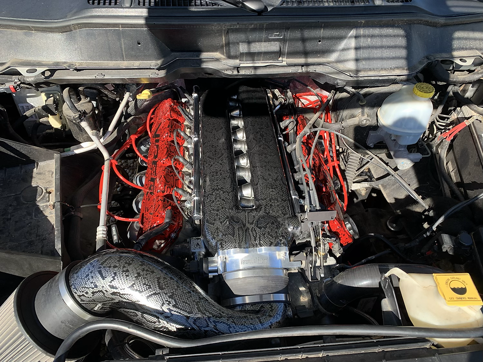 Custom intakes powdercoated/snakeskin dipped
