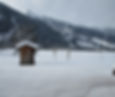 Winterland