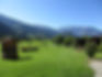 Ausblick