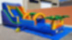Brinquedos com água
