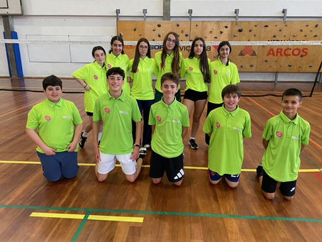 Final de Badminton CLDE