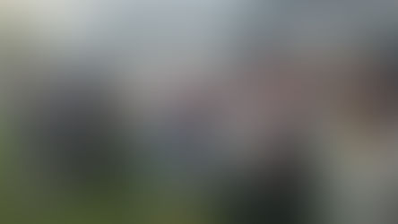 Escola com Memória a celebrar o São Martinho