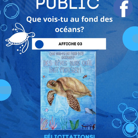 Que vois-tu au fond des océans? - prémio
