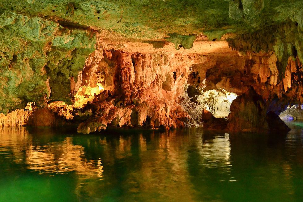 Miniatura: Tour de tortugas y Cenotes en Akumal