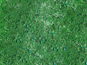 Spruce Green
