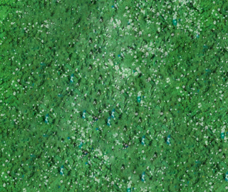 Spruce Green