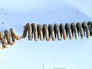 Mystery Object #3