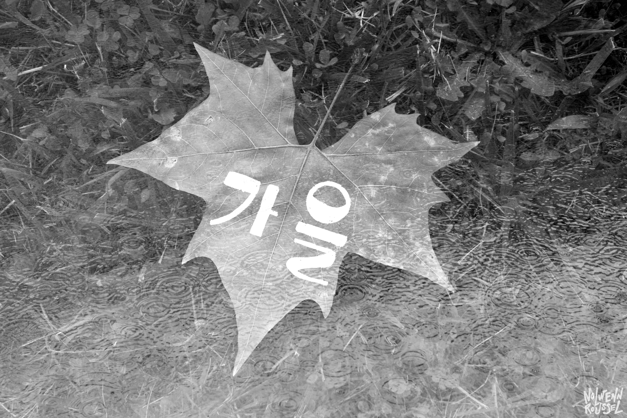 Automne.tif