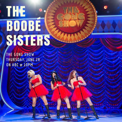 Appearing on The Gong Show