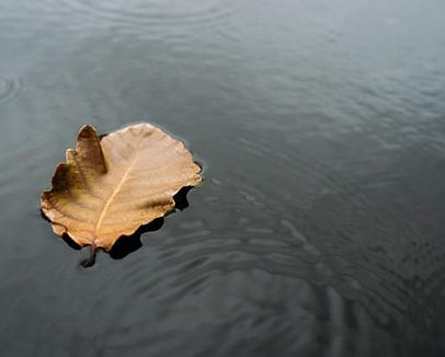 Acqua.jpeg