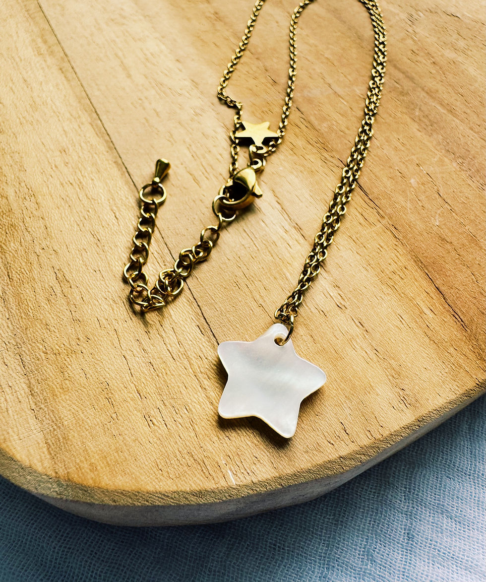 Miniature : Collier Zélie en acier inox et sa breloque en nacre