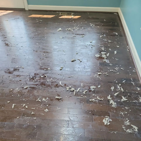 Hardwood wax removal