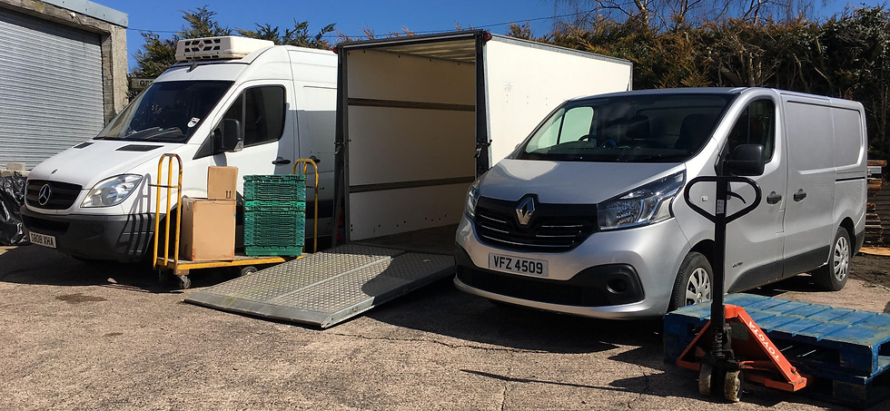 Self Storage units and containers available in county Down , Belfast, Newtownards, Dundonald, Belfast, Bangor, Holywood and all of the Ards Peninsula
