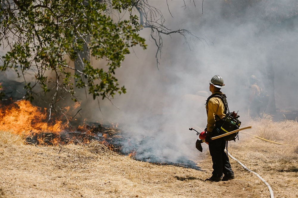Fire In Spring Spring Has Sprung, and a Young Man's Thoughts Turn to ... Wildfires?