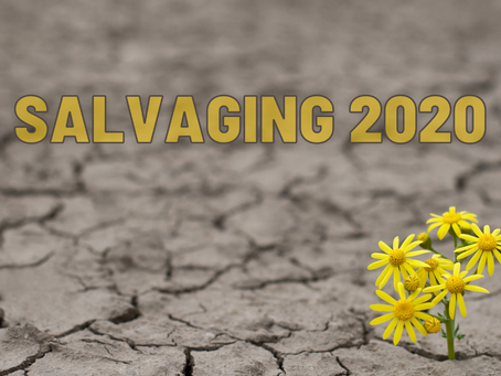 Salvaging 2020
