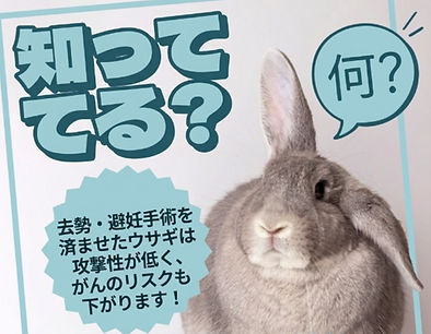 スクリーンショット 2026-06-10 164227.png