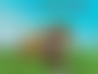 8 月16日アップデート情報〜追加〜