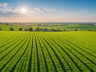 Why Africa's Agricultural Sector Could Produce the Next Billionaires 🌿