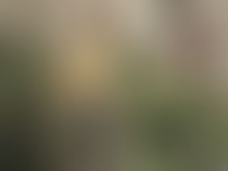 Olimpo, de Blas Matamoro