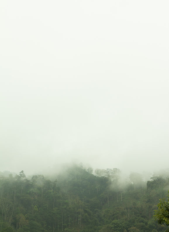 Vertical1.jpg