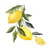 lemons.png