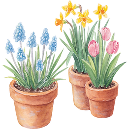 spring png.png
