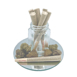 pre roll_edited.png