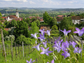 Hartberg und die Oststeiermark vor den Römern