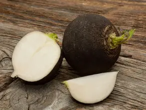 Mågst a an Radi?