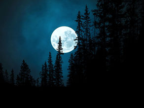 Vollmond & Mondfinsternis im – 28. Oktober