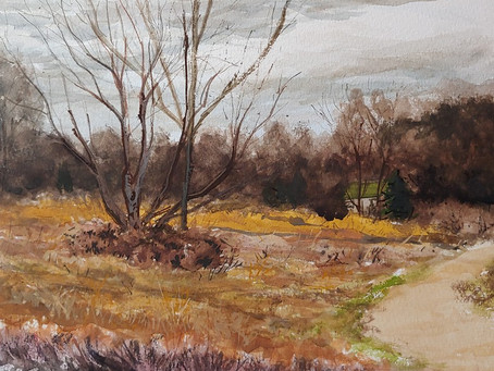 3-23-21 - Off McHenry Rd.