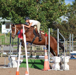 Sylvie entrain de débuter Charlie en concours ex-cheval de course