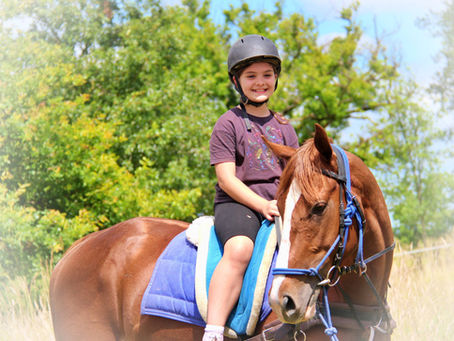 Hongre, Jument ou Entier?....