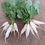 Thumbnail: Seeds - Radish White Icicle