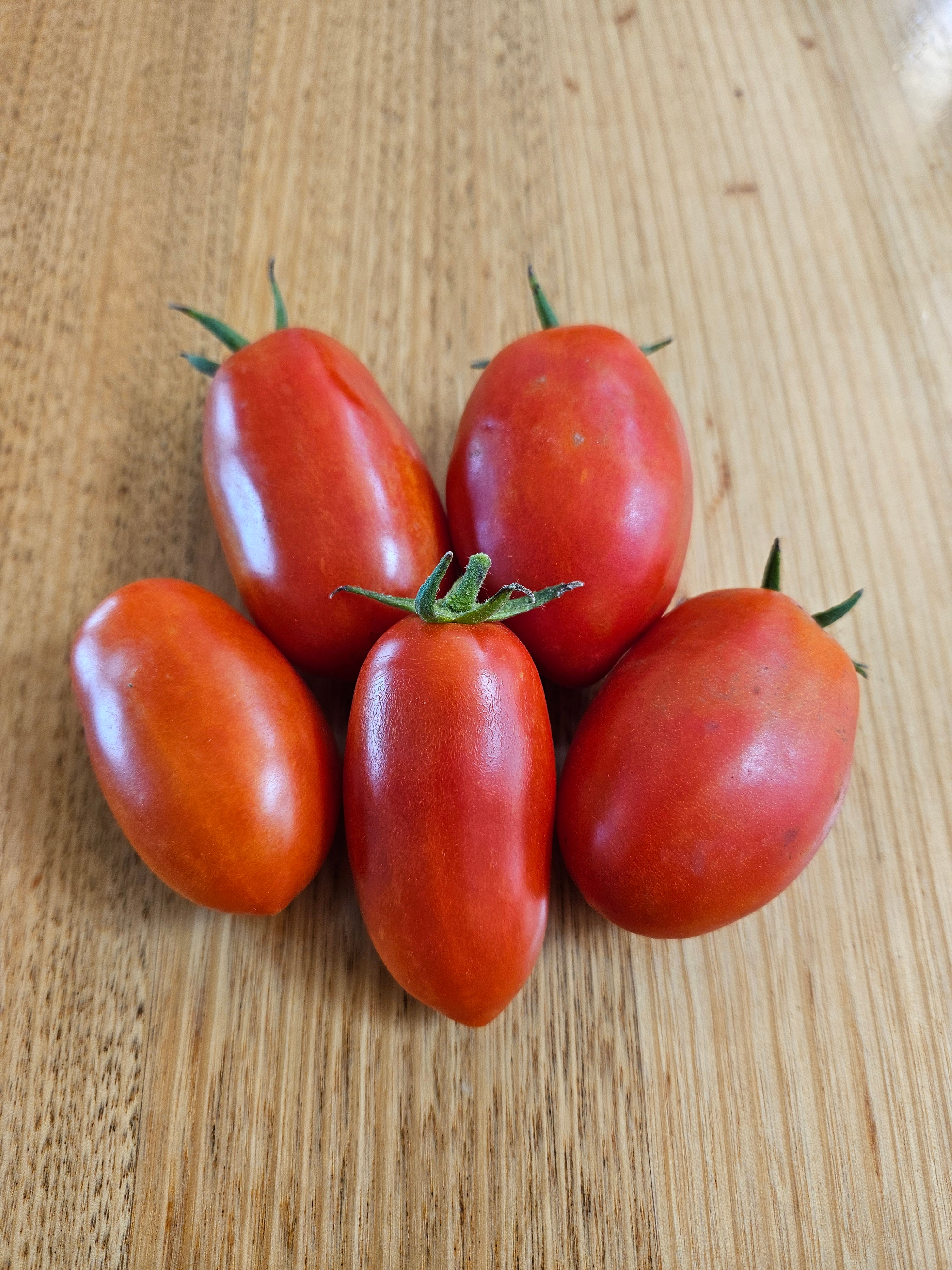 Seeds - Tomato Roma