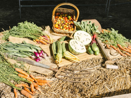 Planning your Spring veggie patch
