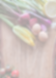 Portrait base transparent.png