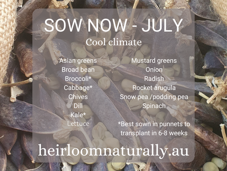 Sow what when - July