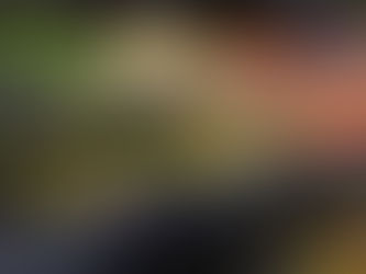 宴藝在城市與餐桌間綻放:以風格、料理與情感交織的款待美學敘事