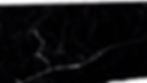 ripped background 2-01.jpg