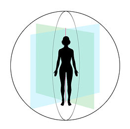fig2.37quad.jpg