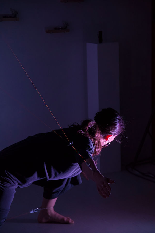 Vivarium festival 2019 poetic corners
