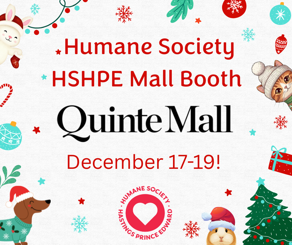 HSHPE QUINTE MALL BOOTH .png