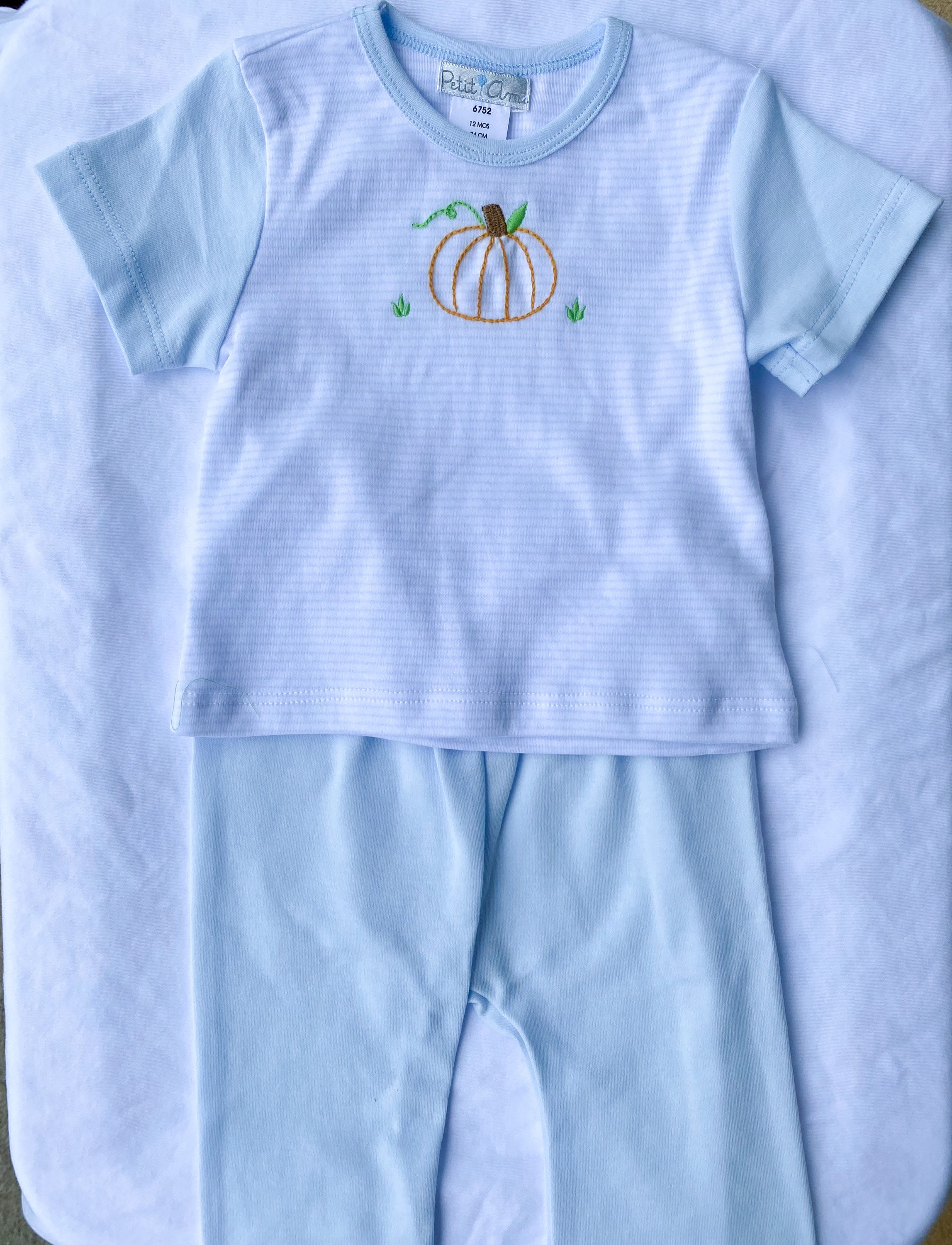 Embroidered Pumpkin Blue Knit Pant Set